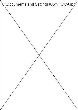 wp064cffb2.png